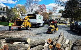 Best Tree Mulching  in Hereford, TX